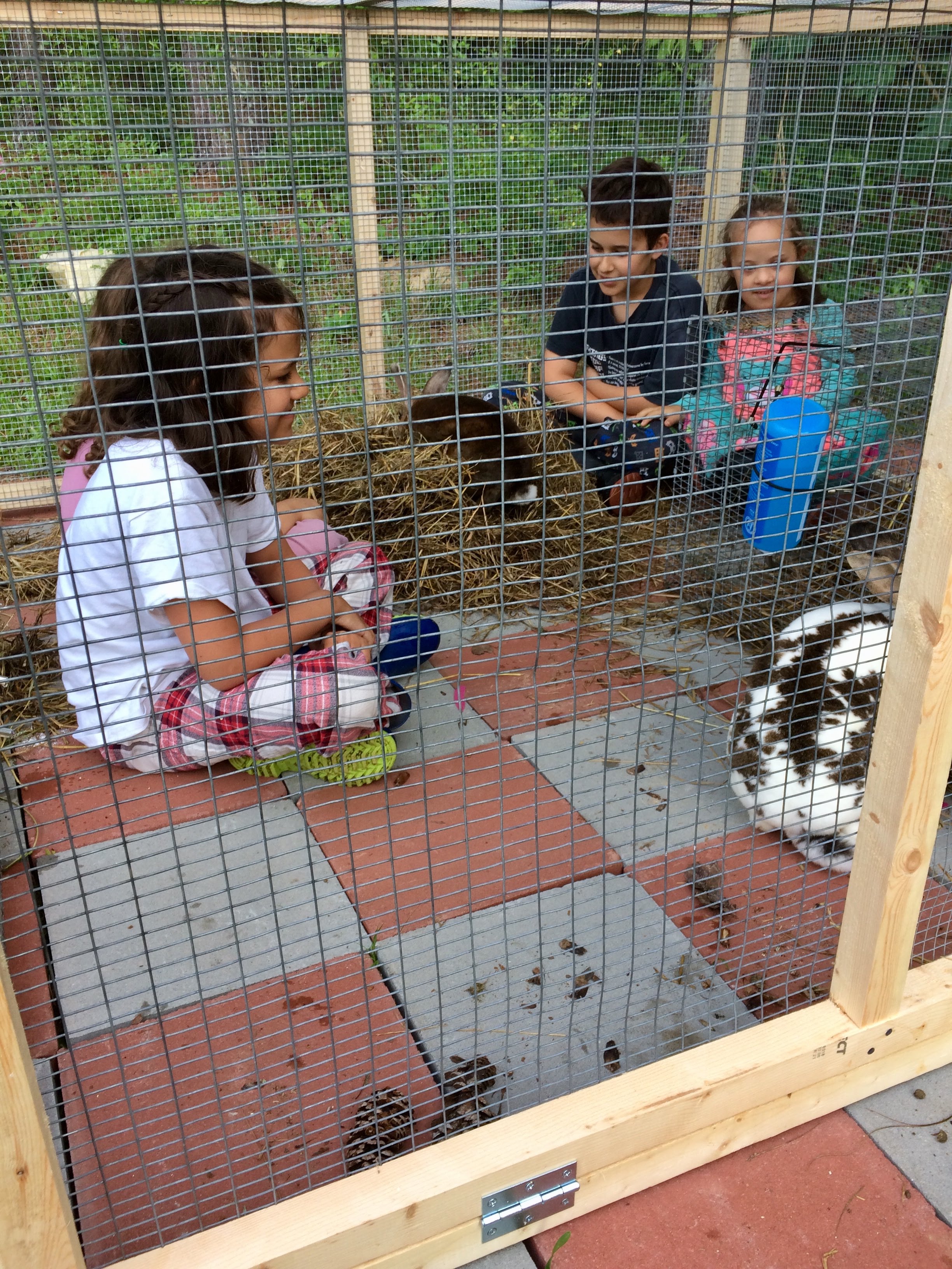 kids like bunnies